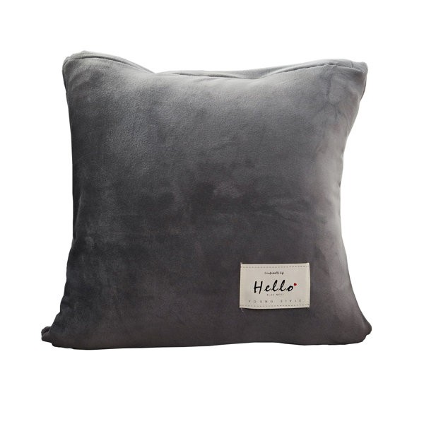 Mercer41 Velvet Pillowcase Wayfair